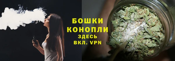 крисы Вязники