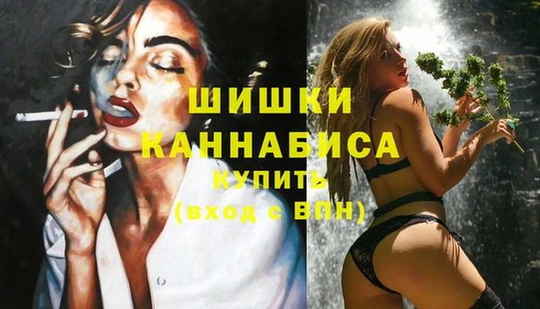 крисы Вязники