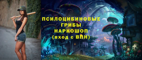 ПСИЛОЦИБИНОВЫЕ ГРИБЫ Усолье-Сибирское