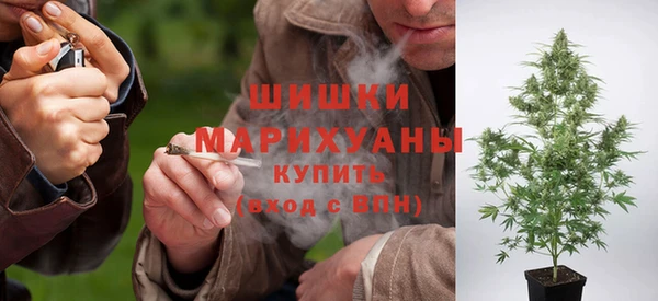 крисы Вязники