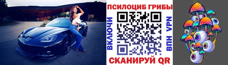 купить  сайты  Лодейное Поле  Галлюциногенные грибы GOLDEN TEACHER 